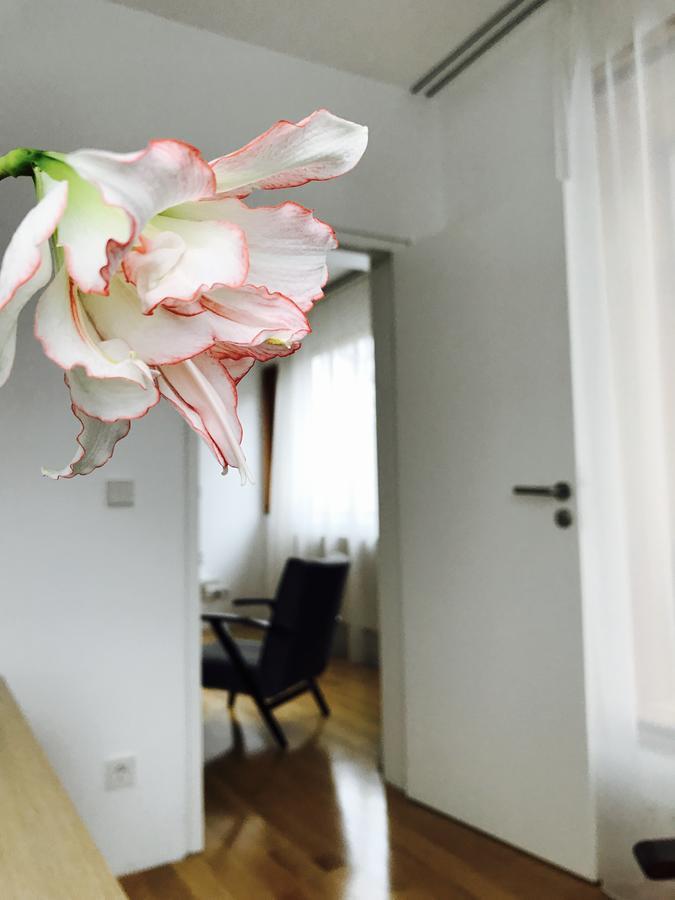 Design Apartment In Park Sofia Zewnętrze zdjęcie